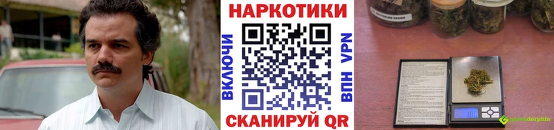 Продажа наркотиков Тырныауз Бошки Шишки  Меф мяу мяу  Альфа ПВП  ГАШИШ  АМФ  КОКАИН 