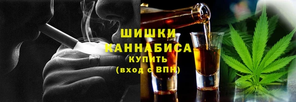 молекула духа Белоозёрский