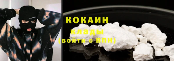 молекула духа Белоозёрский