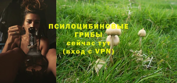 мдпв Беломорск
