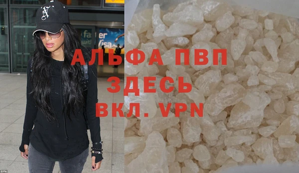 молекула духа Белоозёрский